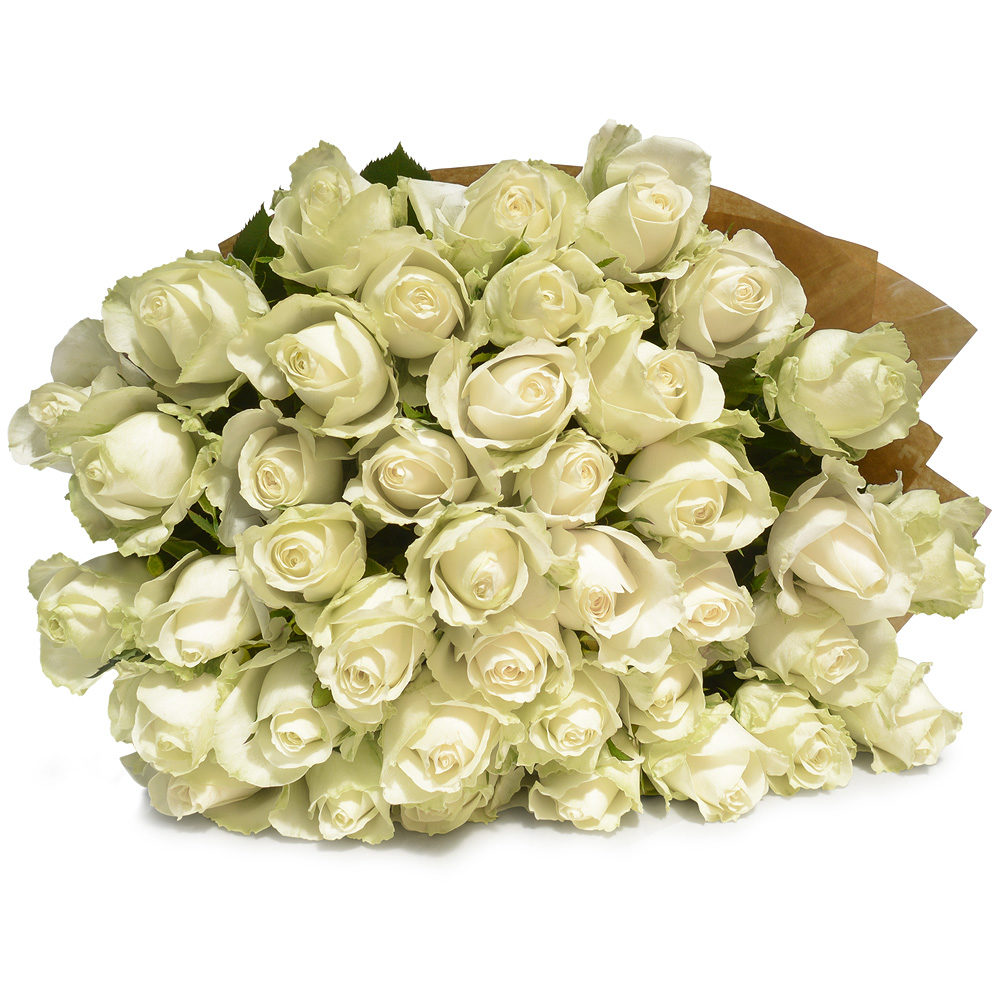 White Roses