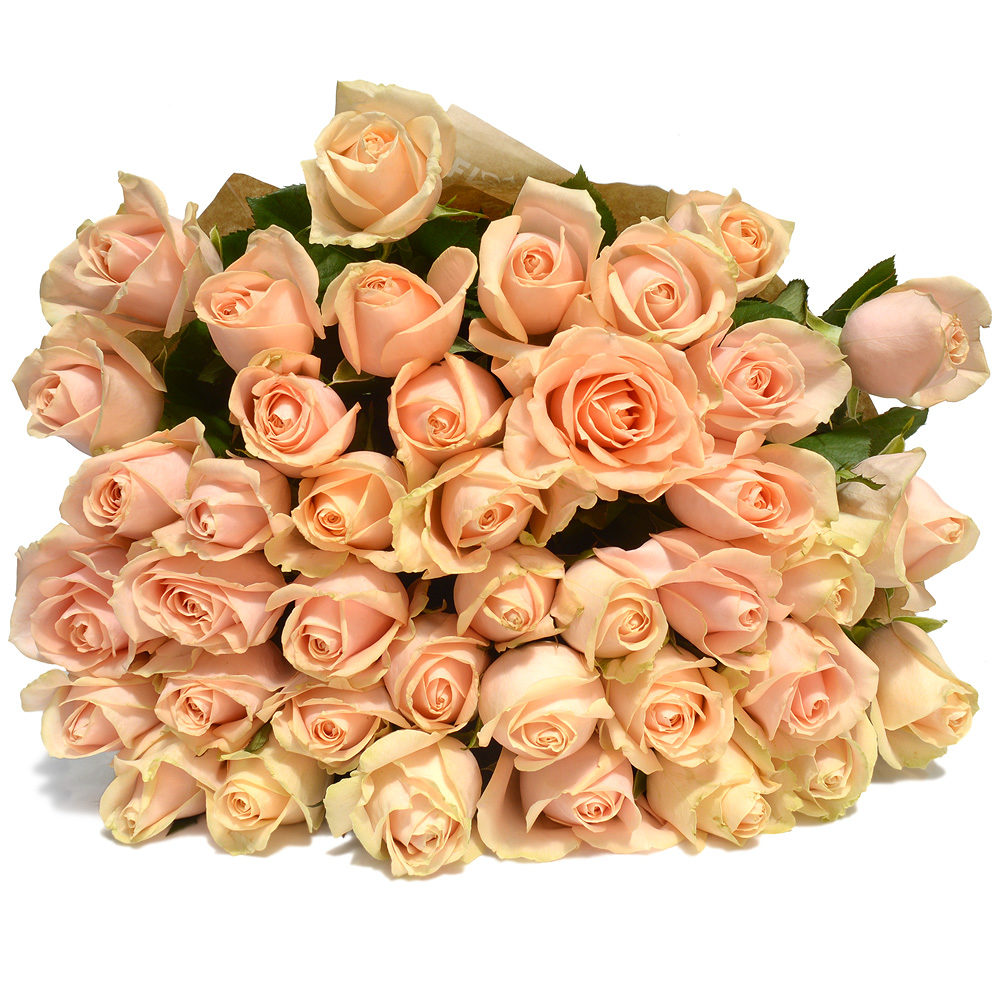 Blush Roses