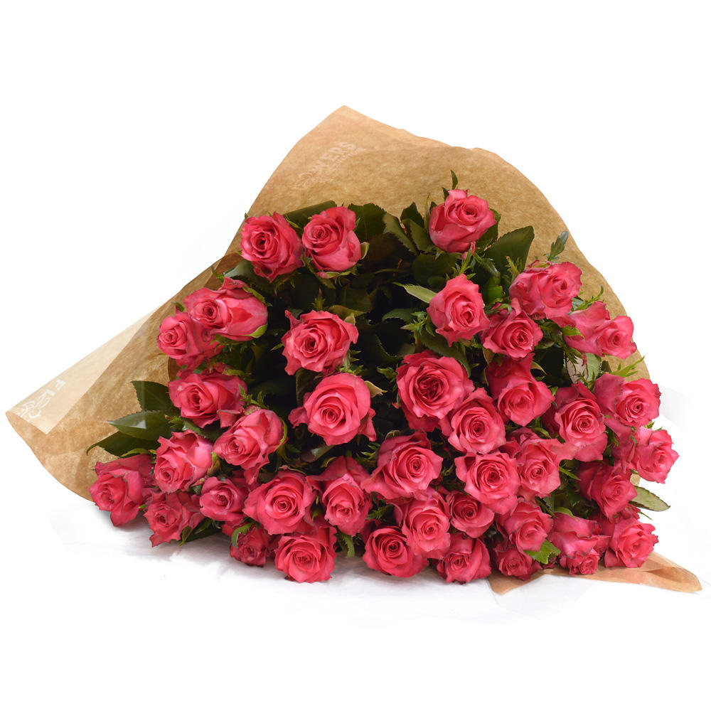 Pink Roses