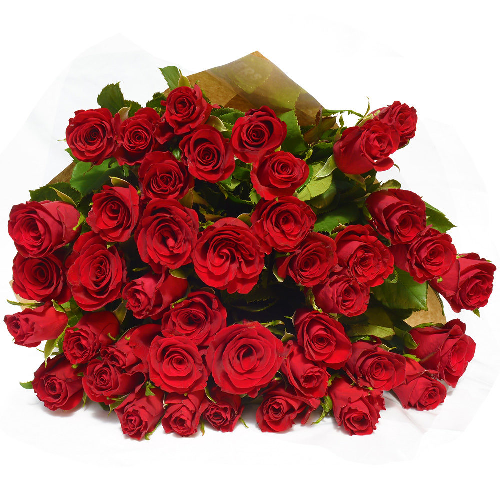 Red Roses