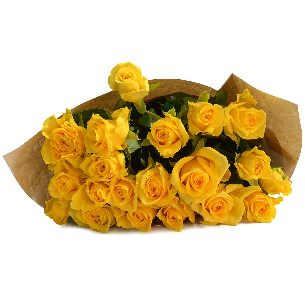Yellow Roses