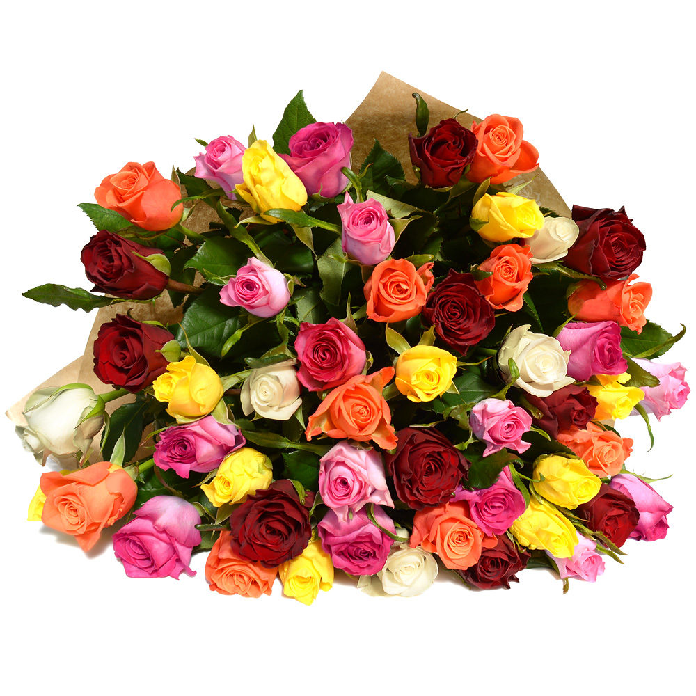 Mixed Roses