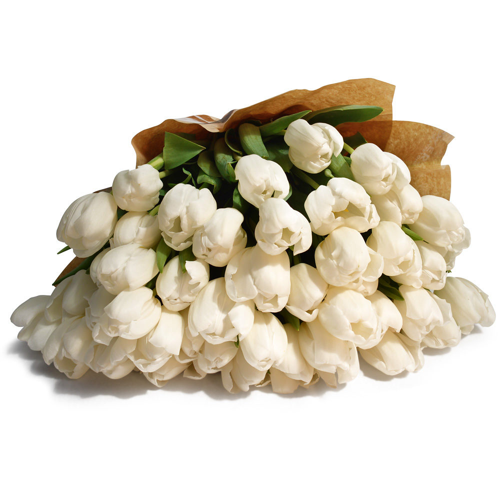 White Tulips