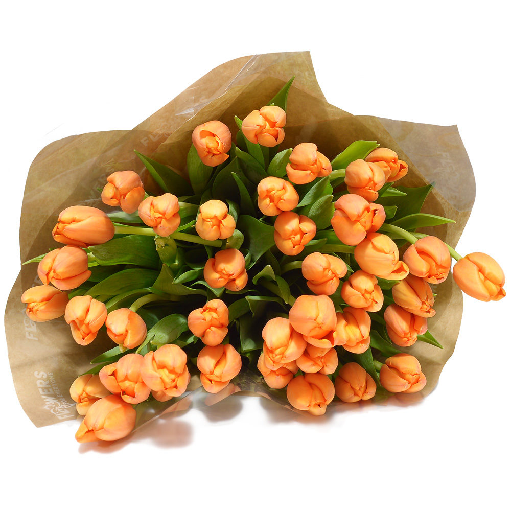 Orange Tulips
