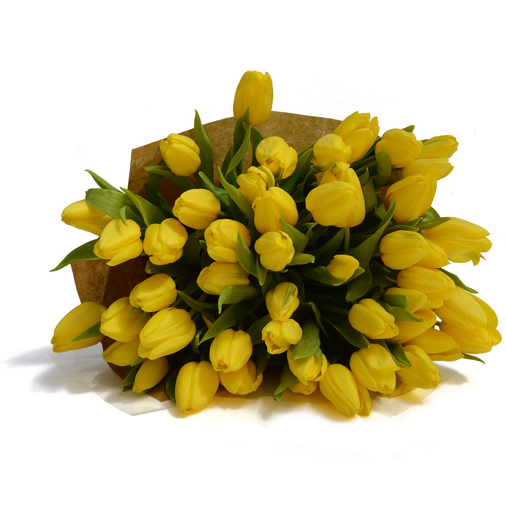 Yellow Tulips