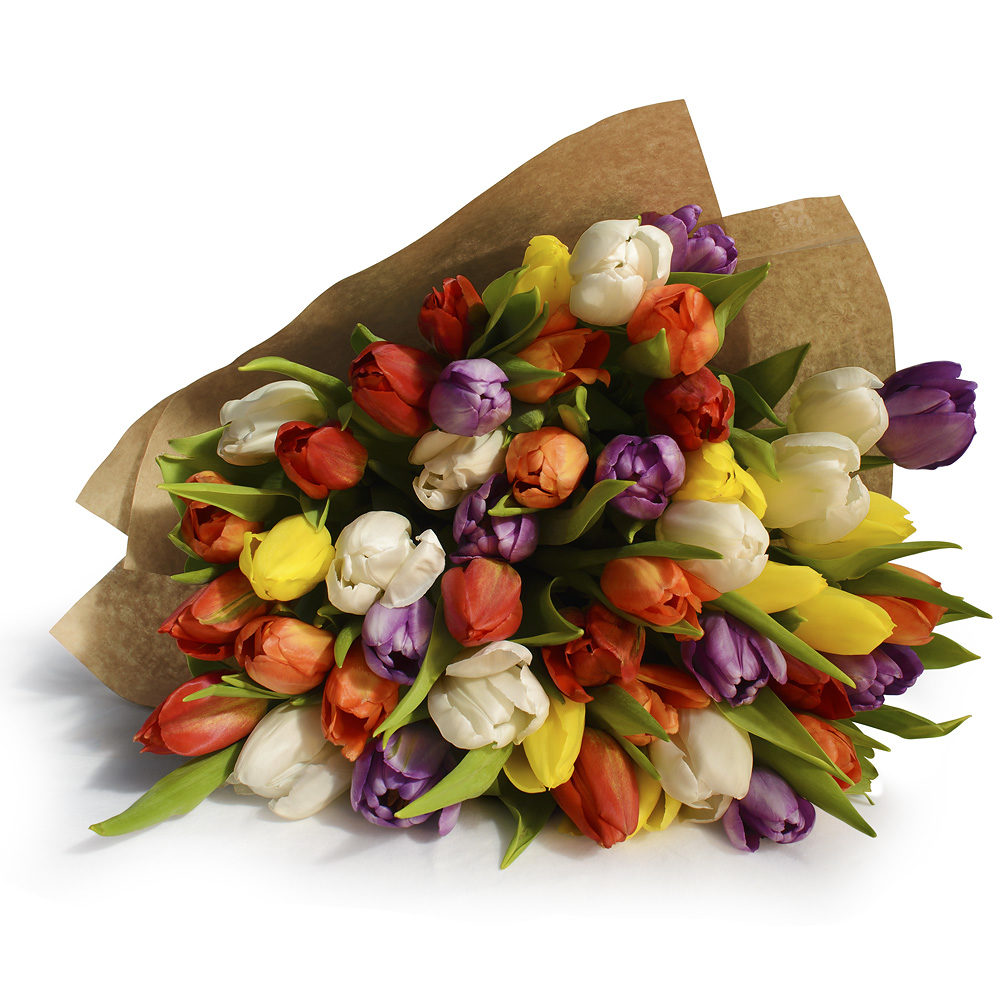 Mixed Tulips