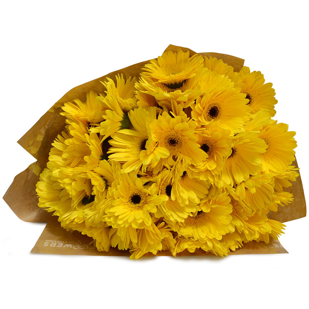 Yellow Gerbera