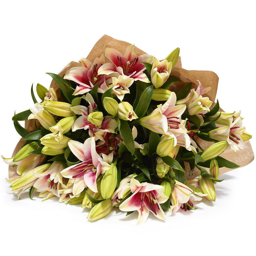 Stargazer Lilies