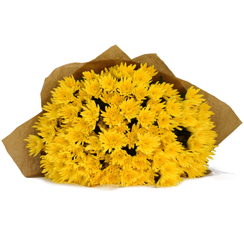 Yellow Crysanthemums